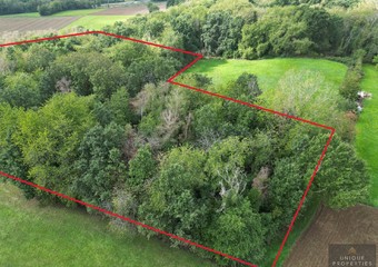 Bosgrond Wingheheyde Tielt-Winge