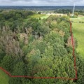 Bos te koop in Tielt-Winge Sint-Joris-Winge