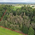 Bos te koop in Tielt-Winge Sint-Joris-Winge