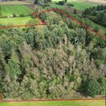 Bos te koop in Tielt-Winge Sint-Joris-Winge
