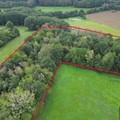 Bos te koop in Tielt-Winge Sint-Joris-Winge