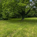 Villa te koop in Tielt-Winge