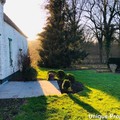 Hoeve te huur in Lubbeek
