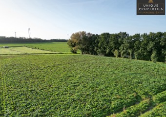 Landbouwgrond Den Ren 12.816m²