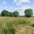 Villa te koop in Scherpenheuvel-Zichem