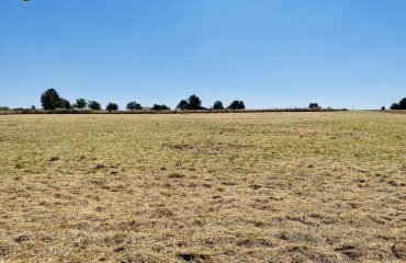 Bouwgrond te koop in Tielt-Winge